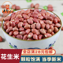 Red Peanut New Raw Peanut Small Peanut Edible Oil Squeeze Shandong Farm 500g in Bulk