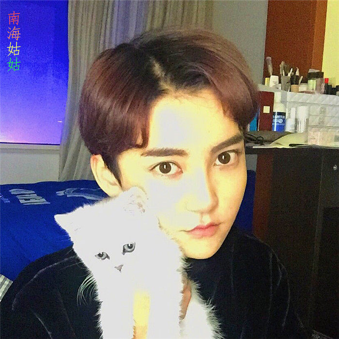 Perruque cheveux raides Court - Ref 2607483 Image 19