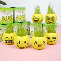 20 прозрачных горшков для смайликов.