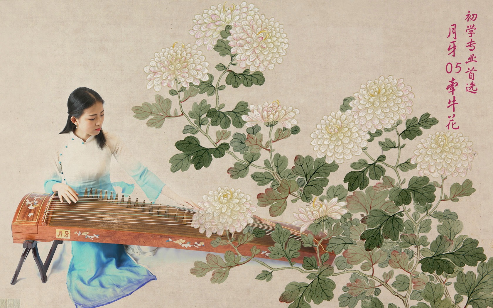 初学者买什么古筝好，小孩为什么要买古筝