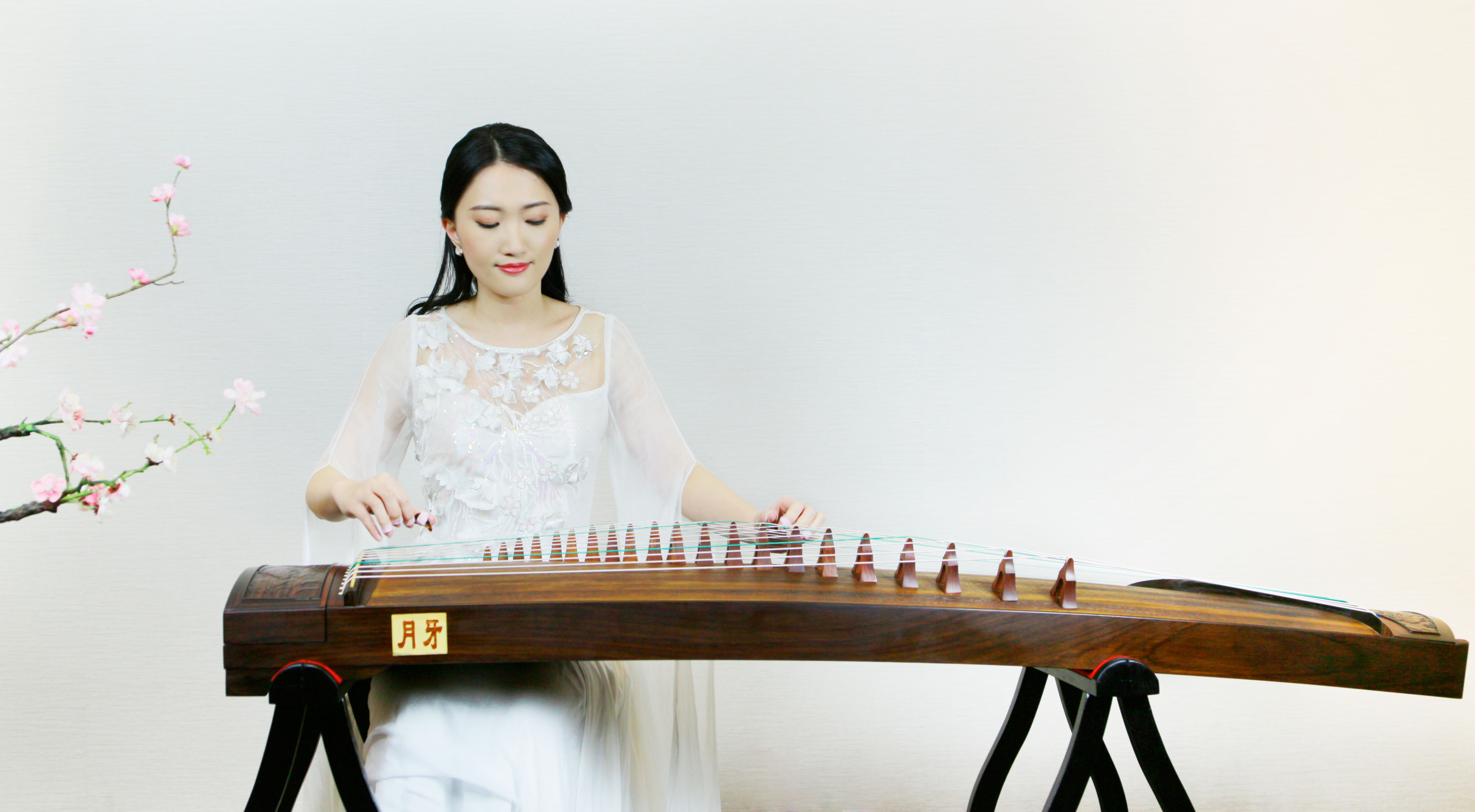 初学者买什么古筝好(价格篇)