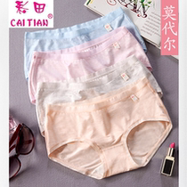5 Strips Of Colored Fields Ultra Soft Modell Cotton Lady Underpants Lift Hip Medium-high Waist Flat Corner Briefs