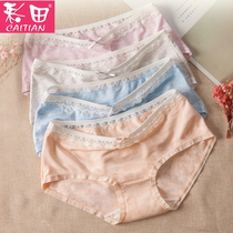 5 free mail color field womens panties Modal underpants cotton crotch sexy lace butt girl panties