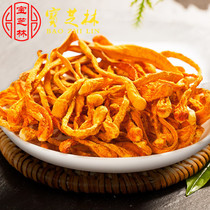 Bao Zhi Lin Selected New Goods Caterpillar Fungus Flower Dry Goods North Gold Pupa Caterpillar Fungus Sporty Head 500g Fungus Pot Soup