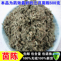 New cargo Yin Chen Dabel Mountain wild Yin Chen grass wild overcast 500g March Cotton Yin Chen white Artemisia Chen tea