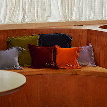 notjustpajama pillow silk velvet cushion sofa living room sleeping bed pillow core removable washing
