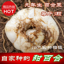 Lanzhou lily fresh edible non-lily dried sulfur-free green Gansu specialty farm straight hair 500g