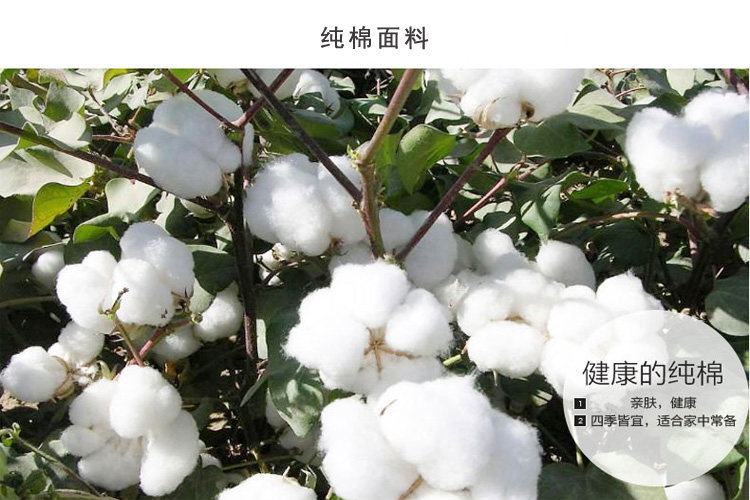 Chaussettes - collants h03 - Ref 757675 Image 9