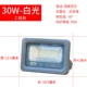 [银狐工程款（隔离宽压）30w正白光]