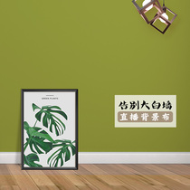 Live background cloth photo photography hanging cloth 3d stereo anchor shooting video minimalist atmosphere props background wall paper