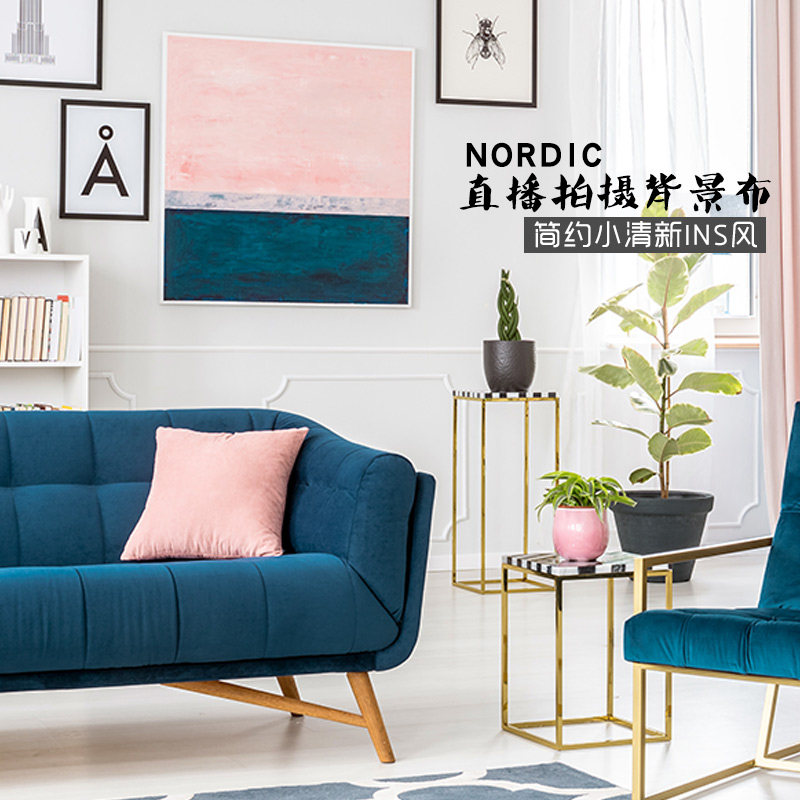 Background cloth anchor live broadcast net red decoration hanging cloth 3D three-dimensional ins photo photography pose props shooting wall cloth