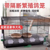 Pigeon cages Breeding cages Household items Carrier pigeons White pigeons breeding Oversized King size large paired nest box Pigeon cages