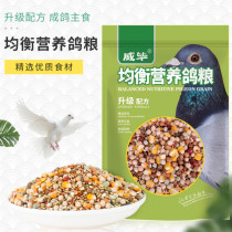 Pigeon food feed pigeon breeder Pigeon Pigeon pea nutrient material with corn small grain grain pigeon food