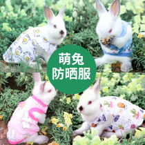 Rabbit special small clothes summer cat rabbit rabbit pet rabbit supplies dwarf rabbit summer clothes sunscreen