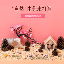 Hamster landscaping supplies small toys pine cones squirrel golden bear cage decoration decoration decoration products