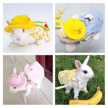 Rabbit clothes summer pet princess skirt vest small cat dwarf rabbit lop-eared rabbit clothing hat thin