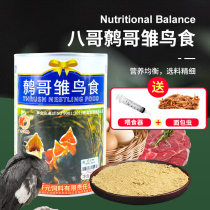 Kaiyuan brand starling chicks special soft food young bird bird food Wren magpie Shrike bird chicks eat bird feed