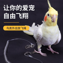 Parrot anklet anklet chain opening live buckle traction rope flying rope Xuanfeng tiger skin peony does not hurt feet super light Bird chain
