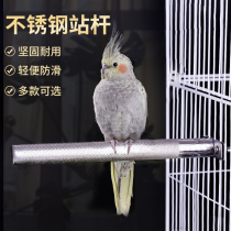 Stainless steel station Rod parrot tooth stick bird cage accessories supplies Starling frosted claw stick stick station stick