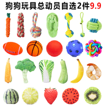 Collection of dog toys bite-resistant teething stick Teddy Bichon Corgi puppy small dog pet self-pleasure and boredom relief artifact