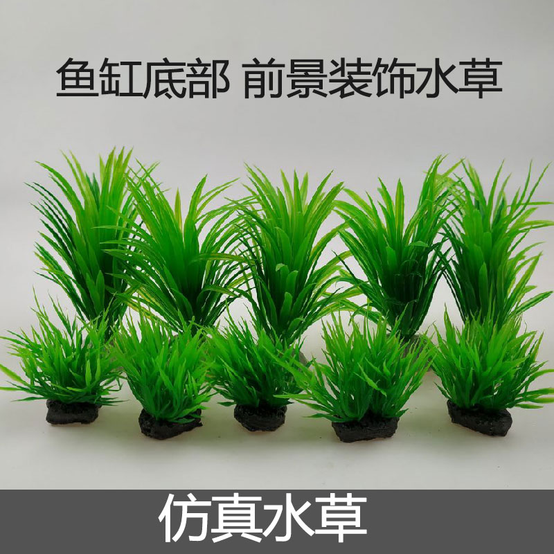 Green small water grass fish tank bottom decorated with water grass water ethnic group view foreground water grass turtle cylinder building simulation water grass-Taobao