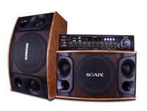 Soaiy (soaiy) CK-M9 KTV Sound Family Cinema Suite Karaoke Conference 10-inch speaker