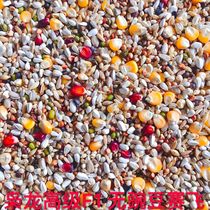 Xiaolong Saifei F1 Pigeon Grain No Pea Flying Race Pigeon Grain Pigeon Feed 50 Jin Zhejiang Shanghai and Anhui