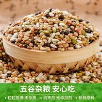 Devil brood spray nest pigeon grain small particles full nutrition Turtledove dove feed young pigeon food 5kg packed in many provinces