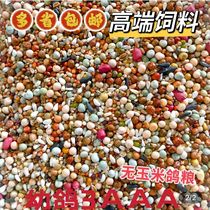 Upgrade Series Young Pigeon No Corn Add Peanut Pigeon Grain Racing Pigeon Feed 5 Catty