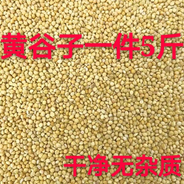 Grade A yellow barn with shell millet millet Millet Tiger Leather Peony Parrot Peony Parrot Birds and Bird Food and Bird Food Feed 5 kilos