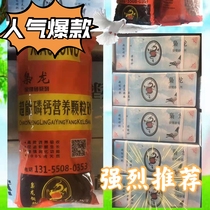 The Lord Dragon Super Energy Can Phosphorus Calcium Nutrient Granular Sand red clay Sense Healthcare sand 15KG Jiang Zhejiang Shanghai