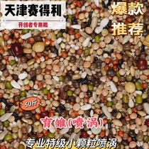 Tianjin Sydite Class Breeding Chick-style Geon Breeding Chicks Pigeon Grain Small Grain Racing Pigeon Young Pigeon Feed Birds 50 Jin