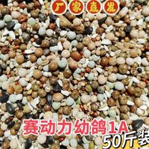 Race Power Dove Grain No Corn Young Pigeon 1A Racing Pigeon Feed Pigeon Jun Dove Watch Pigeon Dove Bird Eat 50 kilos