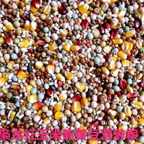 The Lord Dragon Nutrition 5A With Corn Nutrient Grain Racing Pigeon Letter Dove Special Racing Fly Grain 5 Jin