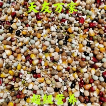 Beijing Tianyou ten thousand Pigeon Food (Super Nutrition) Pigeon Food Letter Saive Pigeon Feed 50 Kings Jiang Zhejiang