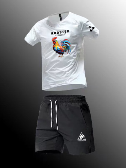法国公鸡新运动套装男跑步短袖T恤夏季速干裤运动服健身衣服短裤
