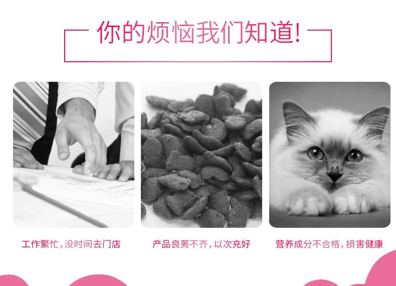 Thức ăn cho mèo, chăn nuôi, cá hồi, thức ăn cho mèo, mèo non, mèo, thức ăn cho mèo, thức ăn cho mèo sáng, 10 kg - Cat Staples thức ăn mèo whiskas