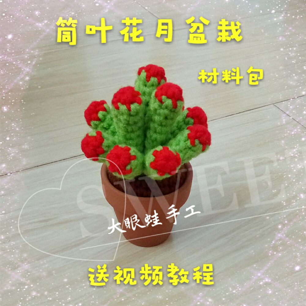 (Large Eye-frog Handmade) wool woven multi-meat plant Potted plant Leaf Flowers Moon Pendulum material to deliver the film