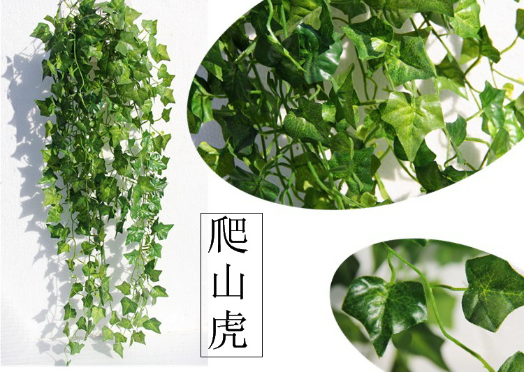 Mô phỏng cây thường xuân trồng trong chậu treo tường hoa lan treo lá củ cải xanh trang trí treo cây nho trồng cây xanh 绢 hoa - Hoa nhân tạo / Cây / Trái cây giá lan giả hạc rừng
