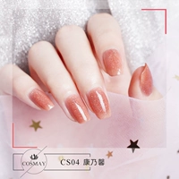 CS04 Carnations