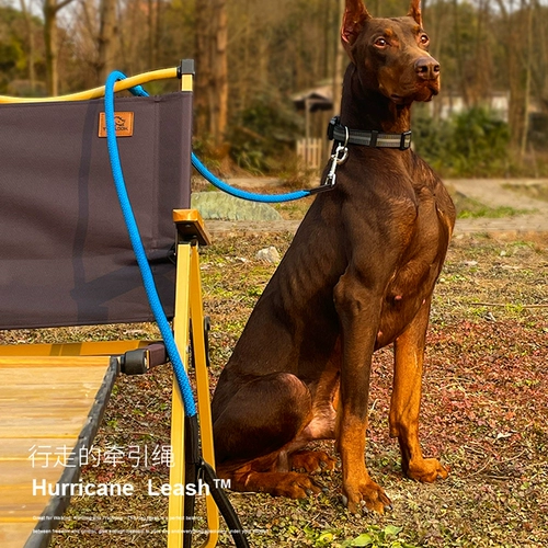 Qzee Beaugo Dog Traction Tract Rope Series Series Series -Проницаемые анти -беспроблемные перерывы на прогулке с собакой -веревками профессиональная тренировка собак