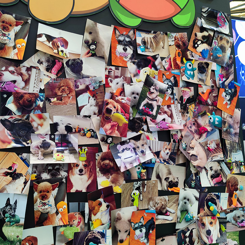 QZee Canada Qmonster Pet Dog Dog Toy Latex Sound Bite Mud Man Young Medium and Large Dog Children