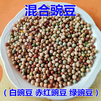 20 20 catty 10 catty of 5 catty peas pigeon feed legume dove peas mixed flower peas high protein letter dove feed