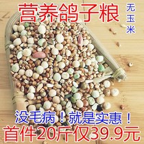 Pigeon grain without corn pigeon nutrition pigeon feed bird food bird food carrier pigeon ornamental pigeon pigeon meat pigeon young pigeon grain 20kg