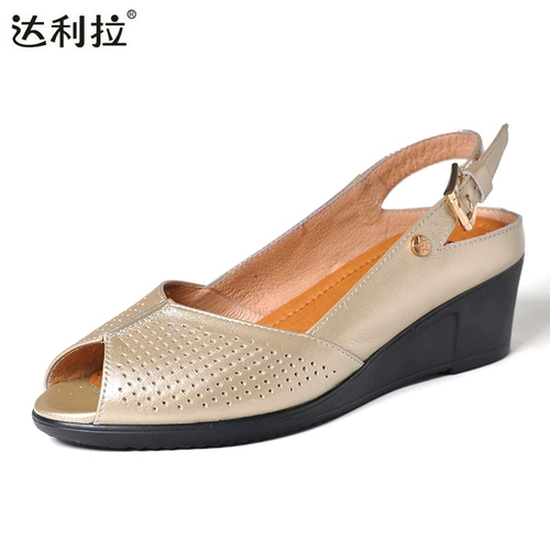 は は 阕   剐 剐 て f て て て て