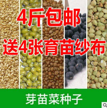 Sprout Fry seeds Peanut Yellow Bean Sprout Vegetables Red Bean Buckwheat Wheat Straw Miao Peas toon Hollow Vegetable Autumn Sunflower Pine Willow