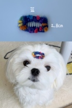 Eat Endless Snails Pink Blue Dot HAND PET BB CLIP Clips Marzis Haircut Yorkshire Teddy