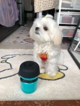Pooch Out Kettle Portable Water Cup Pet Accompanying Cup Walking Dog Water Bottle Feeding Water Drinker Supplies