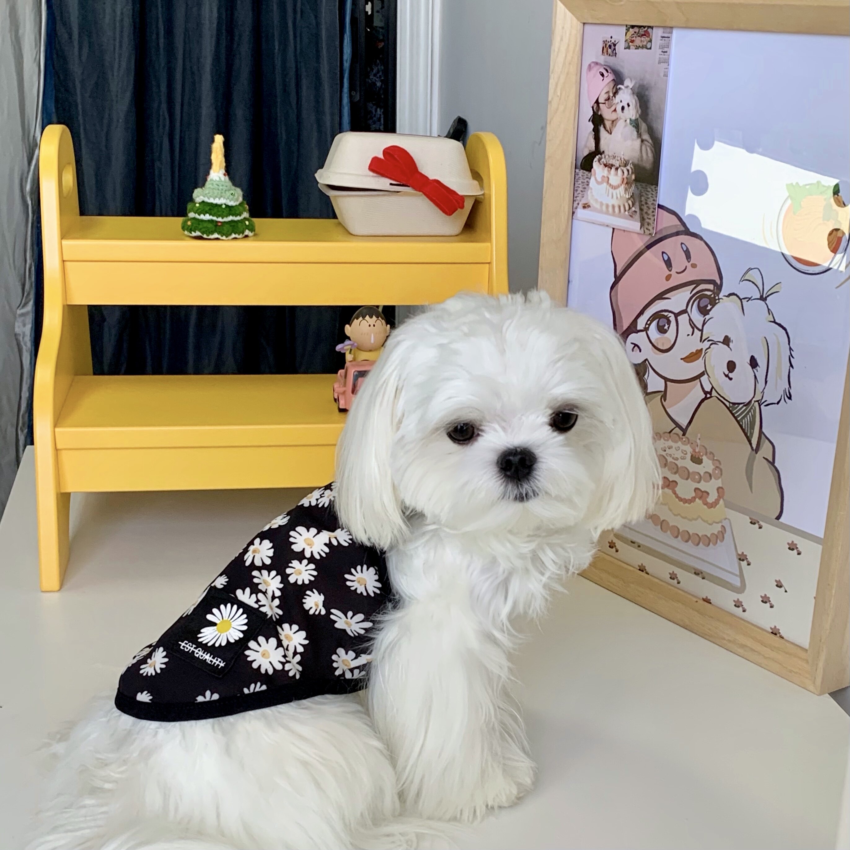 Eat endless spikes Snail Pink Pet Cat Dog Summer Harnesses Vest Daisy Clothes Light And Breathable Teddy Bears