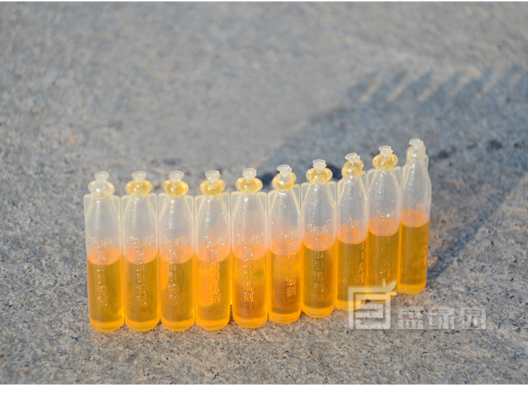 Kim bay fly bẫy potion kiểm soát dịch hại làm vườn nguồn cung cấp vườn cây ăn quả thực vật bắt côn trùng fly bẫy binh tuoi cay